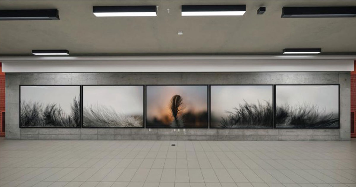 Eliane Excoffier Opengrah