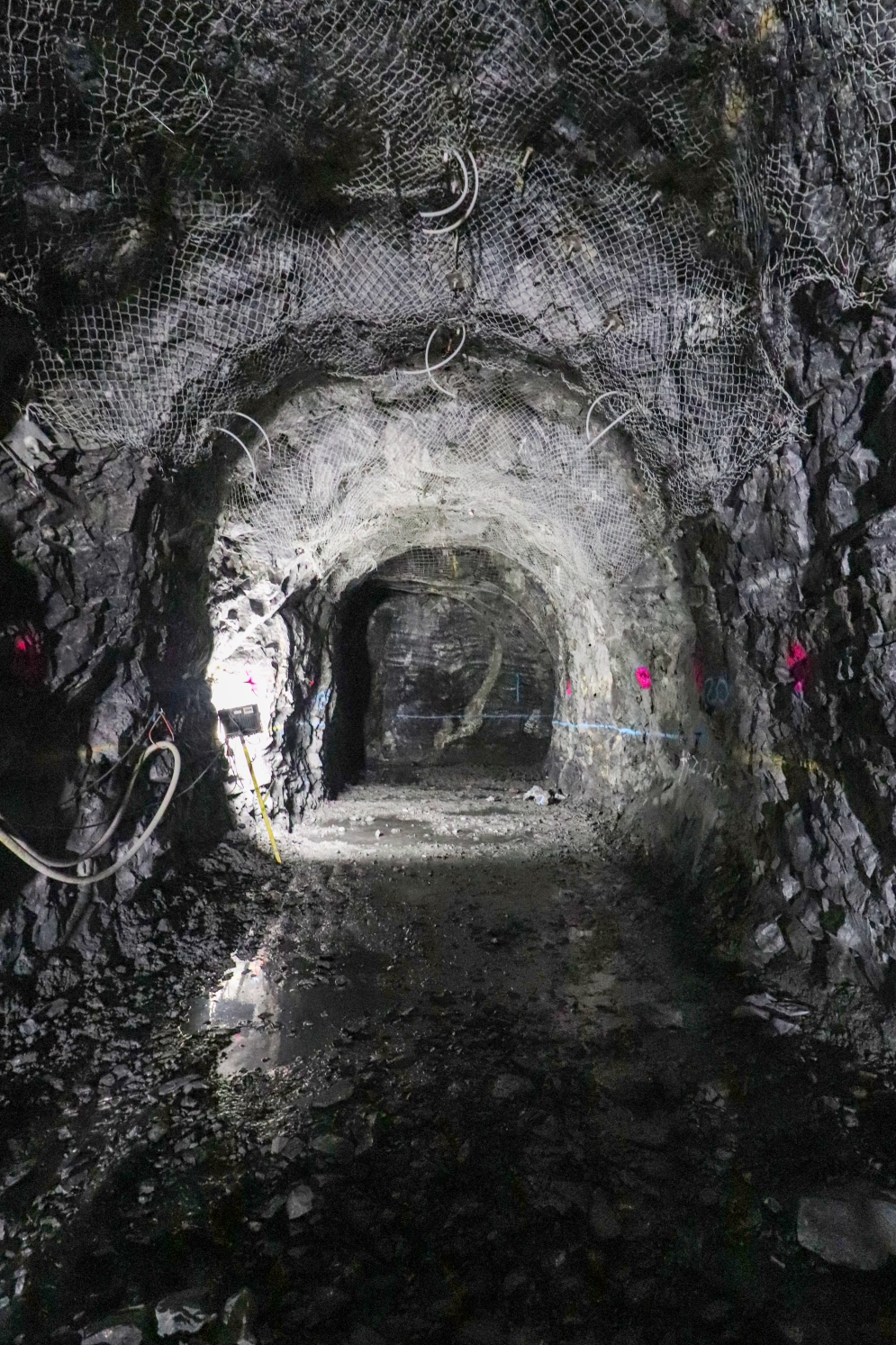 Mont-Royal tunnel - January 2021