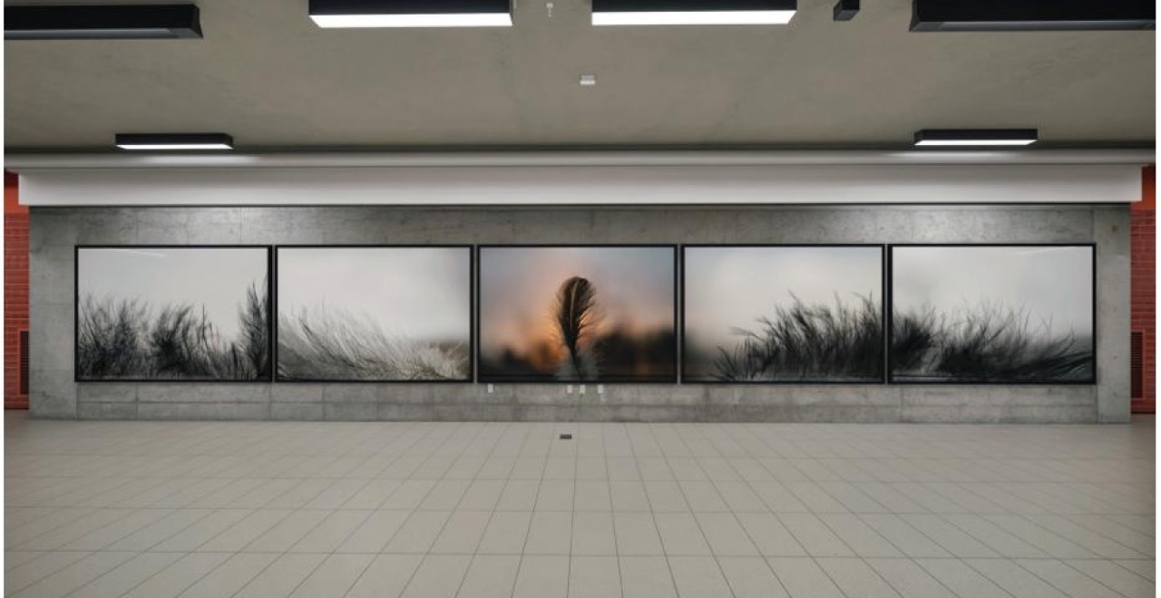 Series of nine photographs entitled La légèreté des horizons.